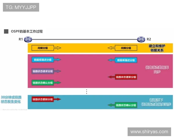 如何选择优质的k8体育登录线路保障账号安全与游戏流畅